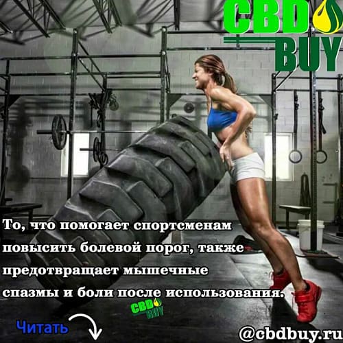 cbd для спорта купить москва россия  cbdbuy.ru