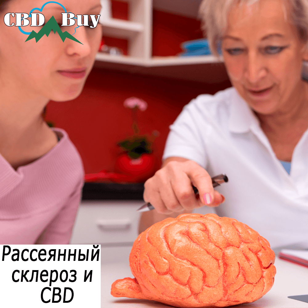 РАССЕЯННЫЙ СКЛЕРОЗ И CBD, cbd, cbd oil, kannaway, nbhemp, кбд, кбд масло, купить масло кбд