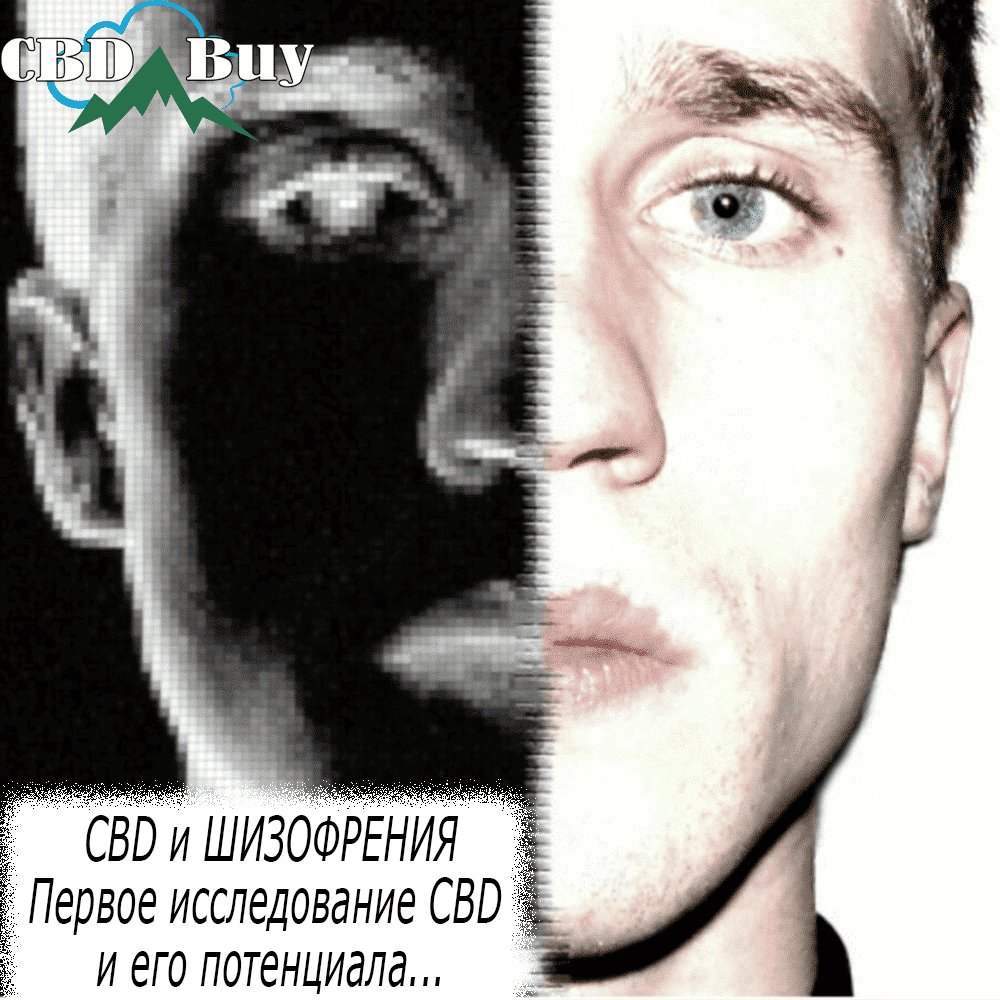 cbd и шизофрения кбд масло россия москва