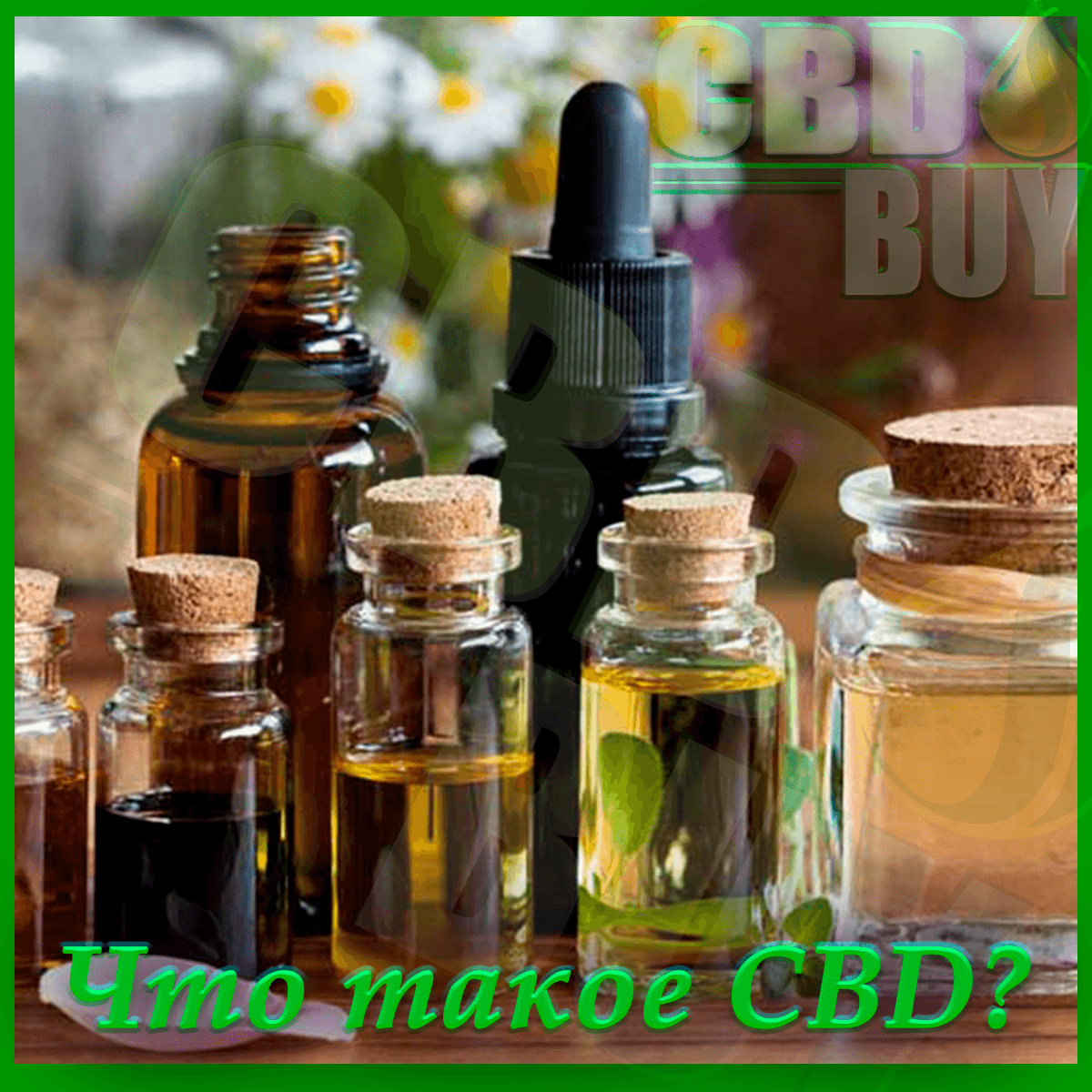 что такое cbd масло купить cbd масло кбд масло в России в Москве в СПБ