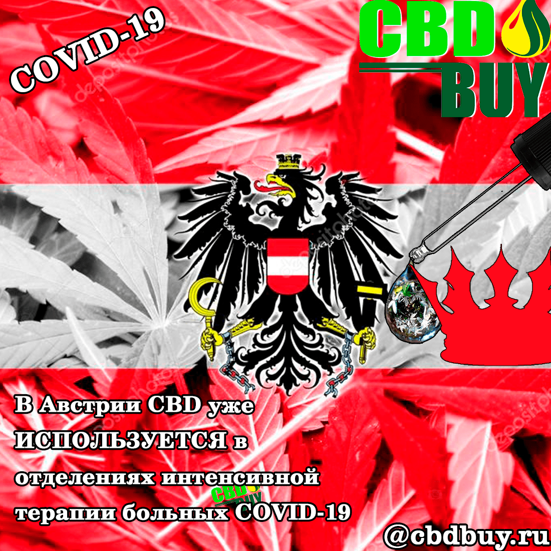 cbd, cbd oil, covid, covid19, коронавирус, кбд масло, кбд купить, кбд Москва, cbd москва, cbd Россия