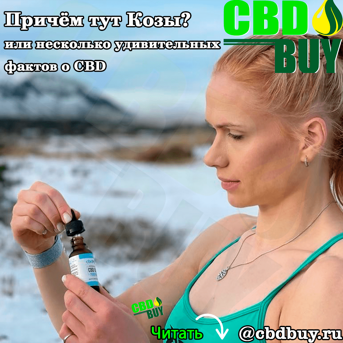 cbdoil, cbd oil, cbdmd купить, купить nbhemp, купить mirmal,